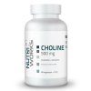 NutriWorks Choline 500 mg 90 kapslí (Varianta Choline 500 mg 90 kapslí)