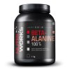 NutriWorks Beta-Alanine 1000 g (Balení 1000 g)