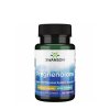 SWANSON PREGNENOLONE HIGH POTENCY 25MG 60Caps