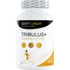 SportWave Tribulus+ (Velikost 120 cps)