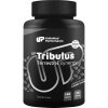 Unlimited Performance UP Tribulus Terrestris Synergy (Velikost 150 cps)