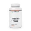 Tribulus + Maca - GymBeam (Kapsle 90 kaps.)