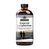 NA LIQUID L CARNITINE 1200 MG 16Oz