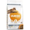 IAMS cat INDOOR chicken - 800g