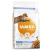 IAMS cat DENTAL chicken - 10kg