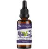 Stevia kapky 50ml hrozen