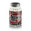 ironmaxx arginine simplex 800 130 kapseln copy