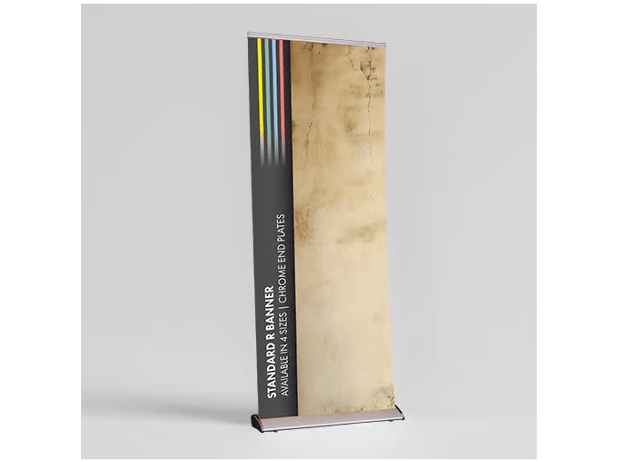 Standard R Banner web 2024
