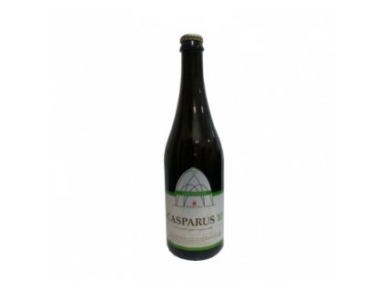 Želiv Casparus APA 10° 0,75 l