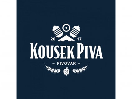 Kousek piva - 10 ° ALE 50 l