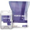 forte bak
