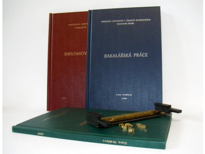 Vazba bakalářské a diplomové práce - do 48 hodin