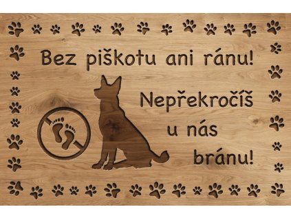 Psí cedulka pro každého pejskaře - Piškotek