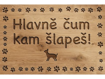 Psí cedulka pro každého pejskaře - Nezašlápni mne!