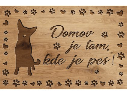 Psí cedulka pro každého pejskaře - Psí Domov