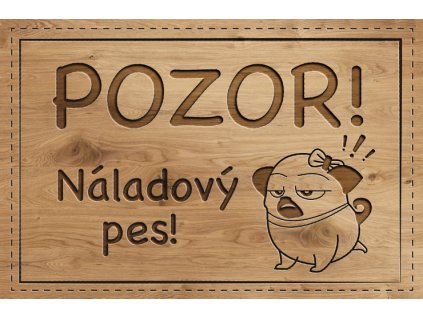 Psí cedulka pro každého pejskaře - Náladička