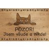 Kočičí cedulka pro každého chovatele - Jsem všude a nikde