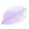 Pštrosí peří délka cca 20-25 cm (Varianta 2 černá, Balení 2 ks)