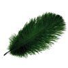 Pštrosí peří délka cca 20-25 cm (Varianta 2 černá, Balení 2 ks)