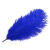 Pštrosí peří délka cca 20-25 cm (Varianta 2 černá, Balení 2 ks)