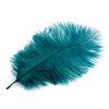 Pštrosí peří délka cca 20-25 cm (Varianta 2 černá, Balení 2 ks)