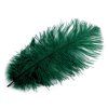 Pštrosí peří délka cca 20-25 cm (Varianta 2 černá, Balení 2 ks)