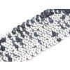 Flitrový prýmek šíře 45 mm elastický (Varianta 1 stříbrná, Balení 13.5 m)
