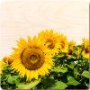 Čtercové Víko na košík 20cm - Slunečnice