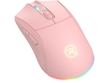 RPTGM003c