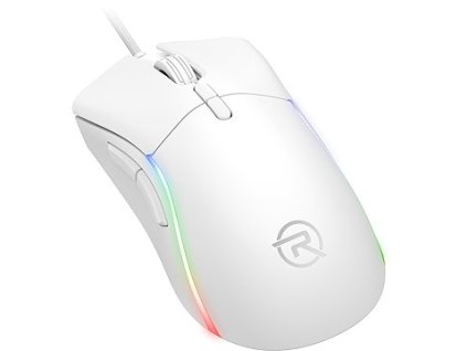 RPTGM011C