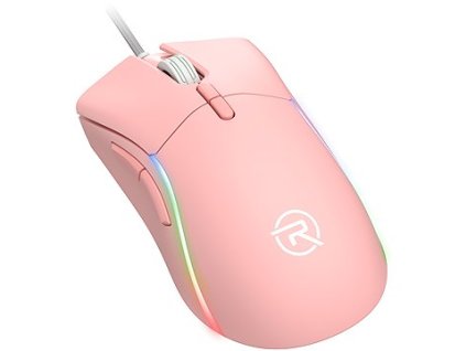 RPTGM011d