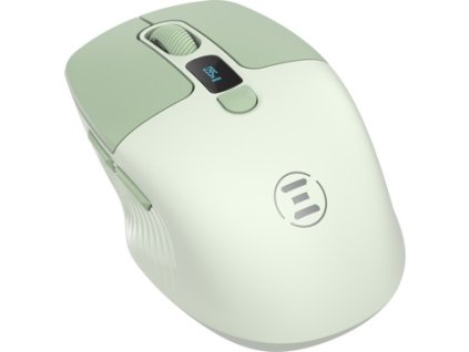 AET004270d