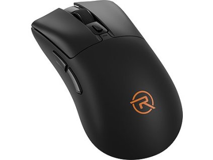RPTGM012a