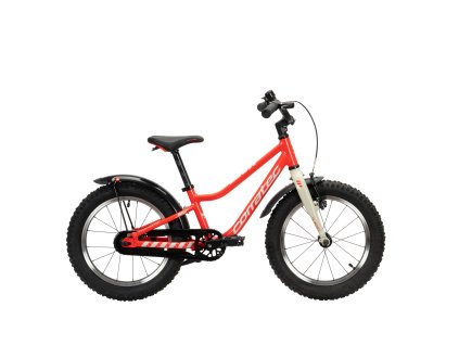 BK28904 COL1