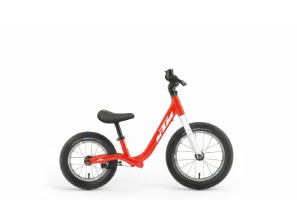 WILD BUDDY 12 23