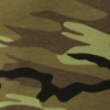 camouflage green