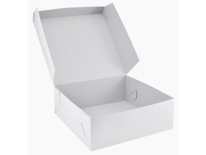 dortova krabice 25x25x10cm