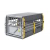 cage big2