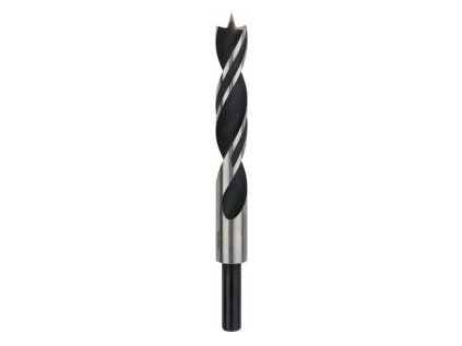 Bosch Špirálový vrták do dreva 16 x 100/160mm | ajtech.sk