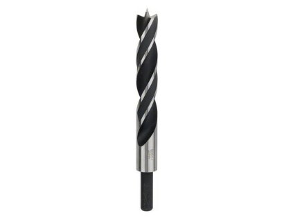 Bosch Špirálový vrták do dreva 22 x 140/210mm | ajtech.sk