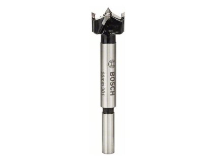Bosch Vrták dekoračný s ostrím s tvrdo kovu 20 x 90mm stopka 8mm | ajtech.sk
