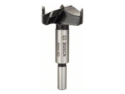 Bosch Vrták dekoračný s ostrím s tvrdo kovu 45 x 90mm stopka 10mm | ajtech.sk