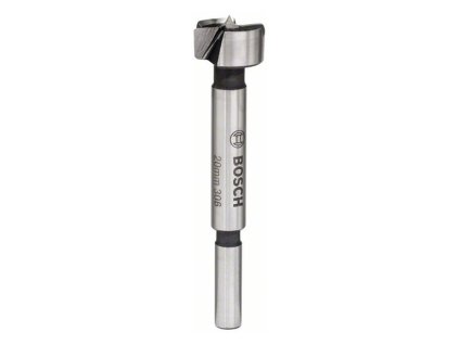Bosch Vrták Forstner na pánty 20 x 90mm, stopka 8mm | ajtech.sk