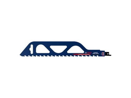 Bosch S 1243 HM EXPERT Pílový list pre chvostové píly do dutých tehál 300 mm, 1 ks 2608900417 | ajtech.sk