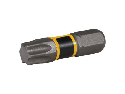 Makita Bit Torx T40, 25mm, 2ks, E-20242 | ajtech.sk
