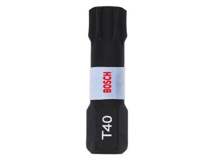 Bosch Skrutkovací bit Impact Control T40, 2 ks | ajtech.sk