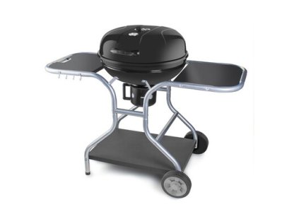 FIELDMANN FZG 1014 - Záhradné grily na drevné uhlie | Ajtech.sk