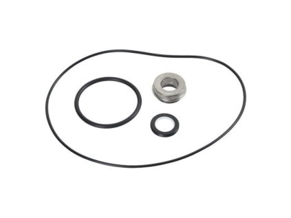 Sada tesnení Briggs & Stratton 198158GS | ajtech.sk