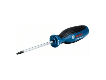 Bosch Skrutkovač TX20 × 100 | ajtech.sk