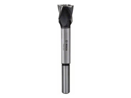 Bosch Vrták Forstner na pánty 15 x 140mm, stopka 13mm | ajtech.sk
